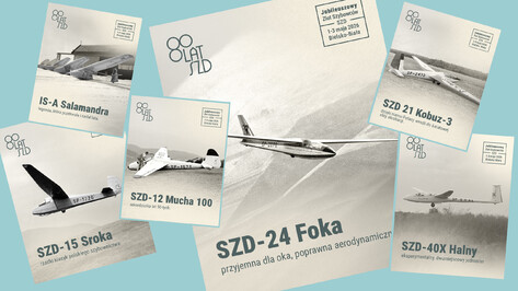 Szdallstar-Pzl-Historic-Glider-Portrait-Anniversary